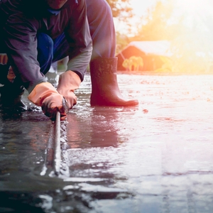  Lời Chúc Mừng Trung Thu - Từ Công Ty Cổ Phần Dịch Vụ & Thương Mại Nhuận Phát 