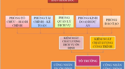 Cơ cấu tổ chức