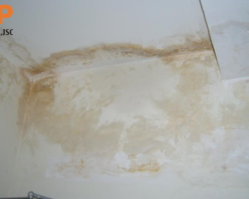 Hướng Dẫn Cách Chống Thấm Trần Nhà Khi Bị Nứt Hiệu Quả