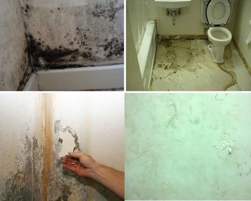 CHỐNG THẤM NHÀ VỆ SINH TRIỆT ĐỂ – GIẢI PHÁP BẢO VỆ CÔNG TRÌNH LÂU DÀI