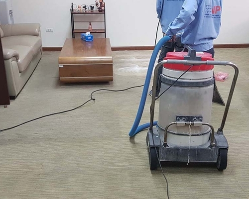 Hướng dẫn giặt thảm lông tại nhà cực kỳ đơn giản