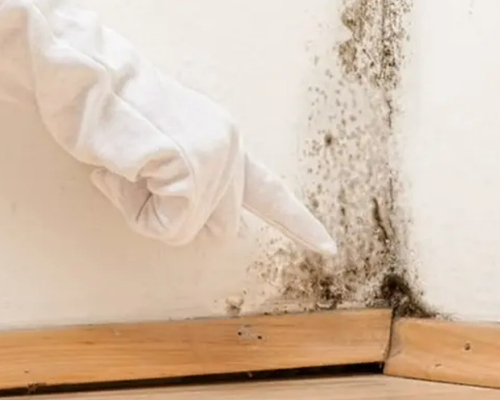 KHI NÀO NÊN GỌI THỢ XỬ LÝ THẤM DỘT CHUYÊN NGHIỆP