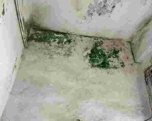 Hướng dẫn chống thấm dột trần nhà nhanh gọn, hiệu quả cao