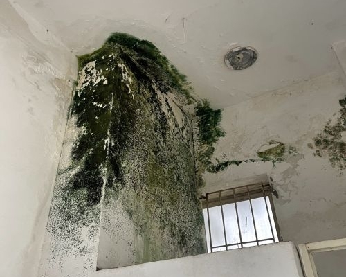 Xử lý chống thấm nhà vệ sinh chuyên nghiệp và uy tín