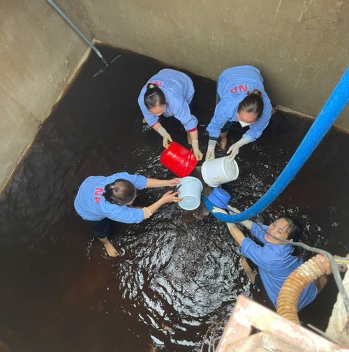 Vệ sinh, thau bể  nước sinh hoạt